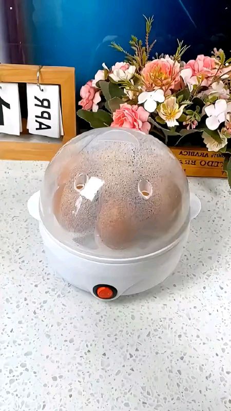 Electric Boiled Egg Cooker Boiled  maker Rapid heating stainless steel steamer #offer #fyp #grabnow #electric #automatic