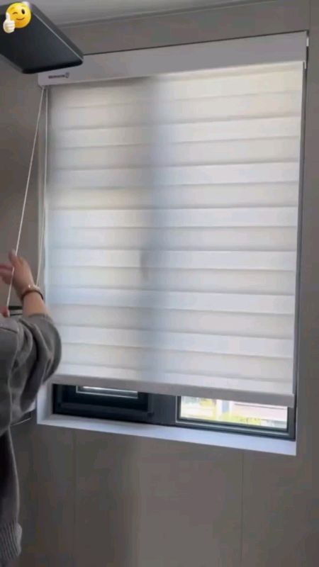 Zebra window roller blind #window #curtain