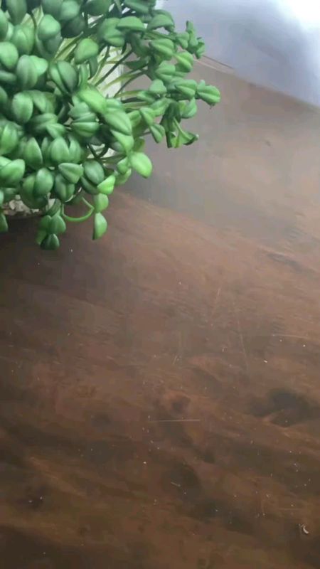 #shopeesg #shopeevideo