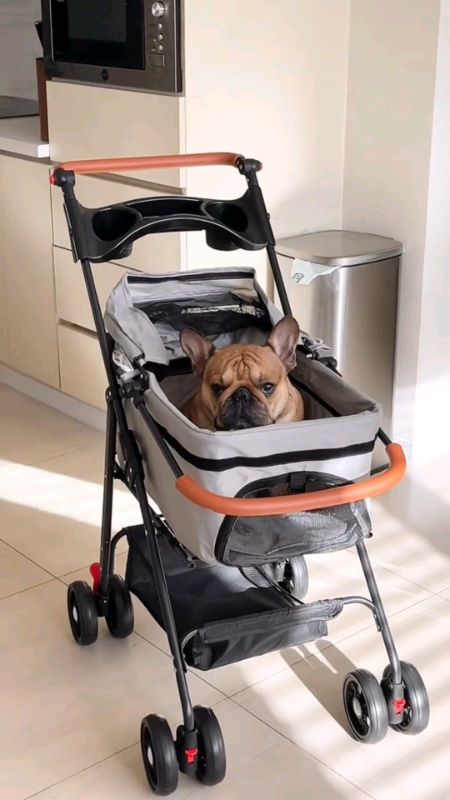 #EGG #Foldable #Pet #Trolley The basket is separable Dog Cat Load capacity 20kg Carrier Strong Structure #Fyp #ShopeeTrending